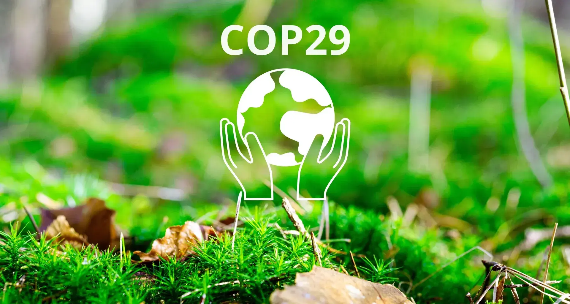 Acción climática: comunidad Tec comparte avances en reunión COP 29