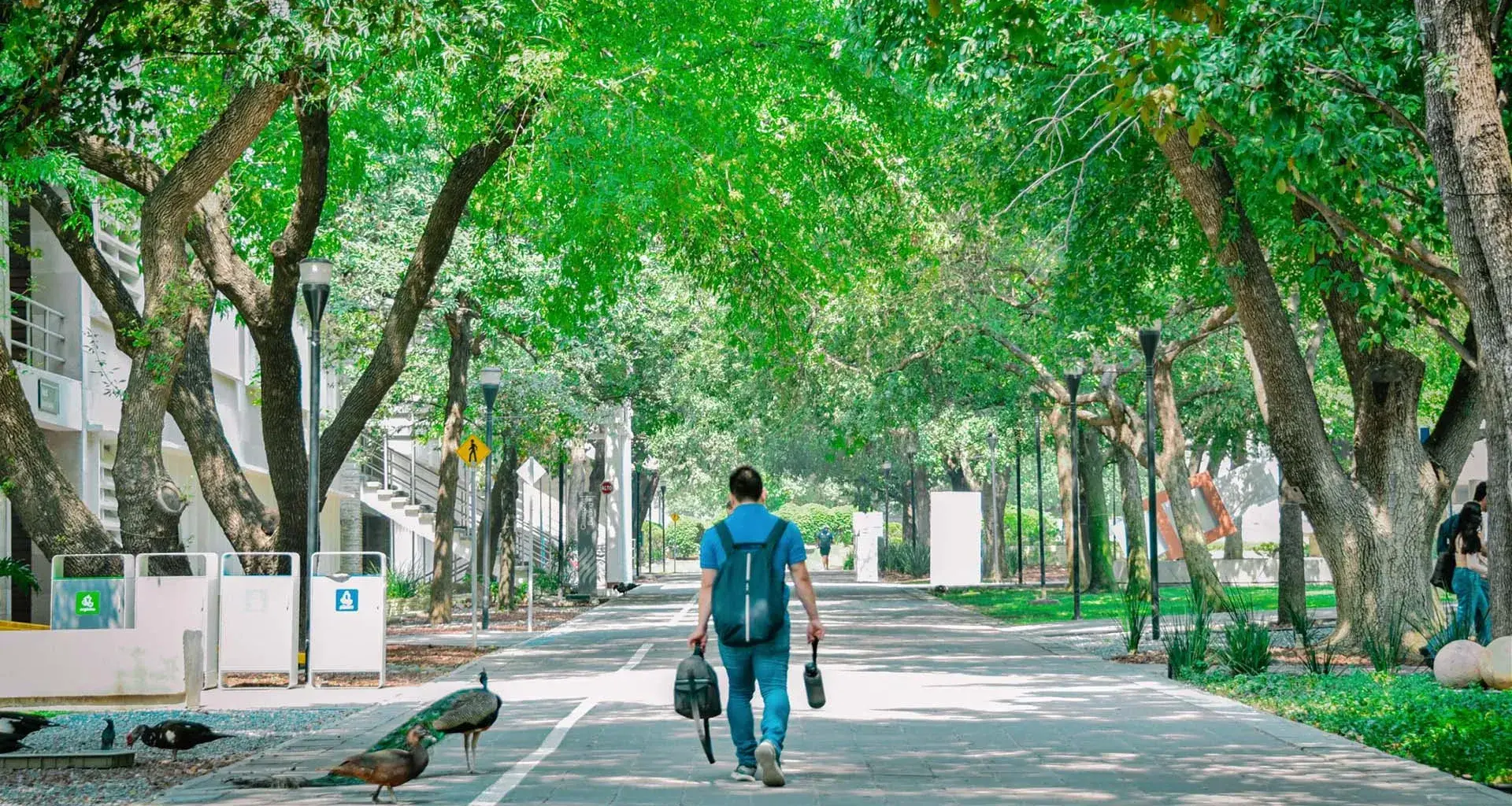 Tec de Monterrey, campus Monterrey