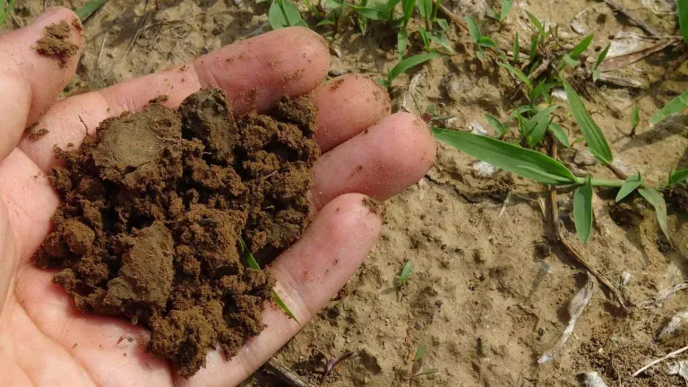 ¡Sostenibilidad! Innova Tec Gdl en manejo de desperdicios alimentarios