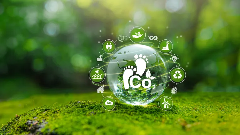 6 consejos para cuidar el planeta en el Día Mundial del Medio Ambiente
