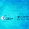 Día del agua