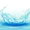 Realizarán primera edición de Foro Internacional del Agua de Monterrey