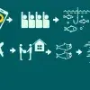 App Amor a Mar