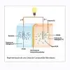 Celda de combustible microbiana
