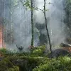 Crean sensores solares que detectarán incendios forestales más rápido