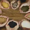 Jalisco sin hambre