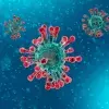 5 respuestas sobre la emergencia internacional por nuevo coronavirus