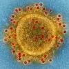 Coronavirus investigado por científicos del Tec de Monterrey