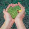 El paro de actividades debido a la pandemia por covid-19 tuvo un impacto positivo en el medio ambiente 