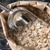 Profesor del Tec impulsa la investigación sustentable del suelo con la avena