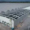 Tec de Monterrey graduate Salomón Ashkenazi has founded NISA Energy, an energy project developer that aims to decarbonize the energy sector in Mexico