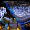 Lights, color & rain! Tec de Monterrey celebrates 80 years in stadium