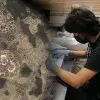 Emilio Peña en el laboratorio