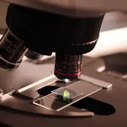 Estudiante de PrepaTec participará en el nacional de biología.