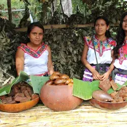 Empoderan a mujeres laboralmente. 
