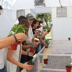 Profesores y alumnos mexicanos desarrollan vivero automatizado
