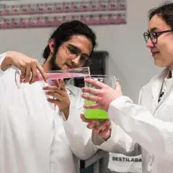 Alumnos de PrepaTec trabajan en el proyecto Hands on Science