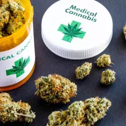 Cannabis Medicinal 