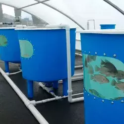 Tec and University of Maryland collaborating on aquaponic systems