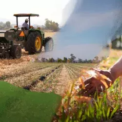 La cuarta edición del Heineken Green Challenge se enfocó en agricultura sustentable.