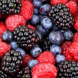 Investigación del Tec Guadalajara ayuda a mejorar la producción de berries. 
