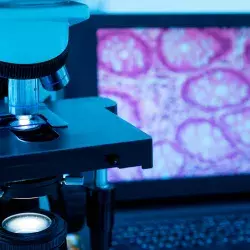 Investigadores del Laboratorio Álvarez Trujillo han trabajado en el desarrollo de diferentes tipos de tejidos con el uso de bionanotecnologías.