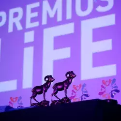 Estatuas de Borregos de Oro sobre mesa en Premios LiFE