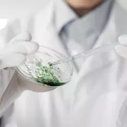 Por buscar bioplástico a partir de microalgas estudiante es reconocida