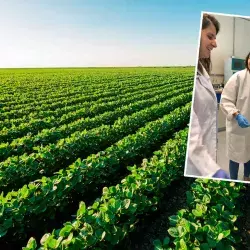 Tres EXATEC crearon una startup enfocada en la agricultura regenerativa.
