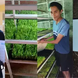Collage con 4 fotografías en las que un joven de San Luis Potosí posa con su diploma de Líderes del Mañana y otras fotografías en las que se muestra su proyecto de innovación en Mexquitic.
