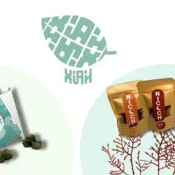Chewing gum and gummies: Anti-stress alternative from Tec students