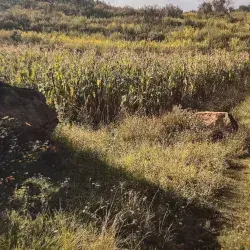 EXATEC crea documental de Xochimilco