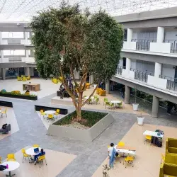 Tec Toluca: un nuevo aire para sus aulas y árboles (fotogalería)