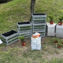 Bailando con las abejas: el jardín con IA creado por alumnos Tec