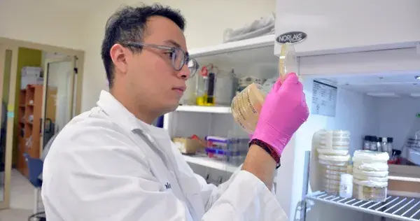 Mexicano de 21 años irá a Harvard para investigación con células madre