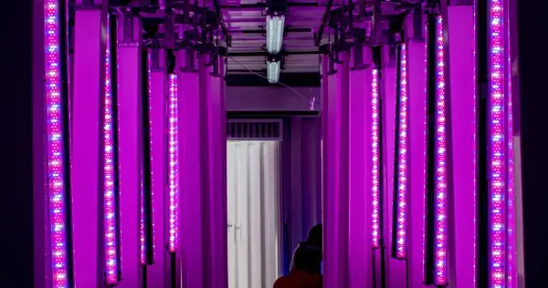Desarrollan los primeros Contenedores de Cultivo Hidropónico en México
