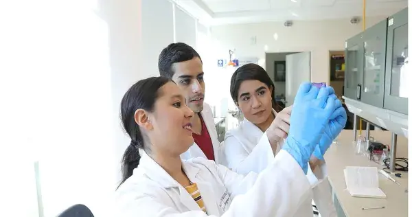 Desarrollan alumnos del Tec un psicobiótico para tratar la depresión