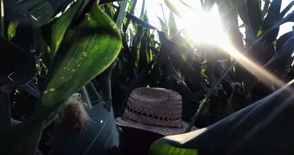 Destaca emprendimiento para agricultores creado por alumnos del Tec