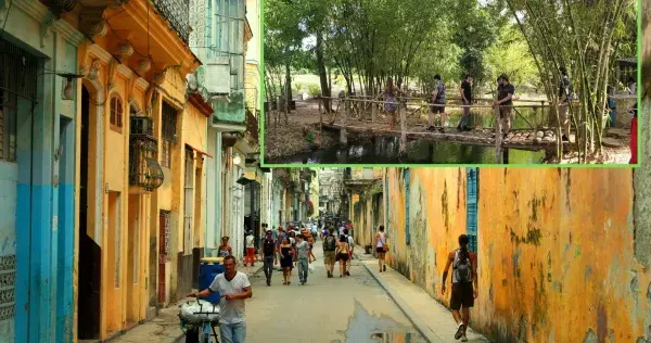 Se empapan de la cultura cubana durante Semana i