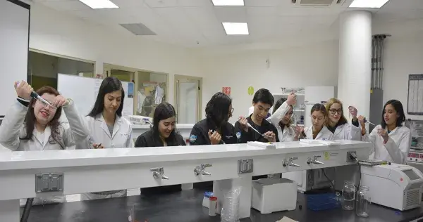 Triunfan en torneo mundial con proyecto vs hongo en plantas de algodón