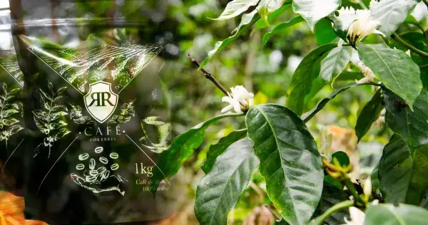 Emprendedores Tec crean su marca cafetera: Dos Erres Café