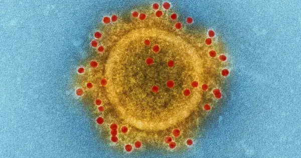 Utiliza Tec métodos computacionales para estudiar nuevo coronavirus