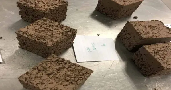 Mexicanos desarrollan bloque ecológico para la construcción