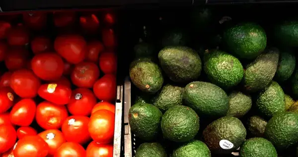 Emprendedores del Tec logran reducir el desperdicio en alimentos