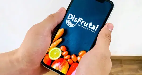 Frutas y verduras del campo a tu mesa con un clic: Conoce a DisFruta!