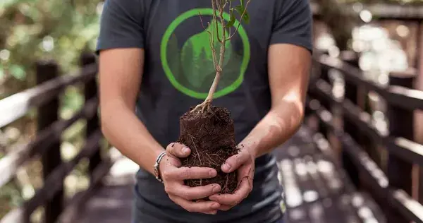 Green Hug: una idea que empezó en la PrepaTec y hoy salva al planeta