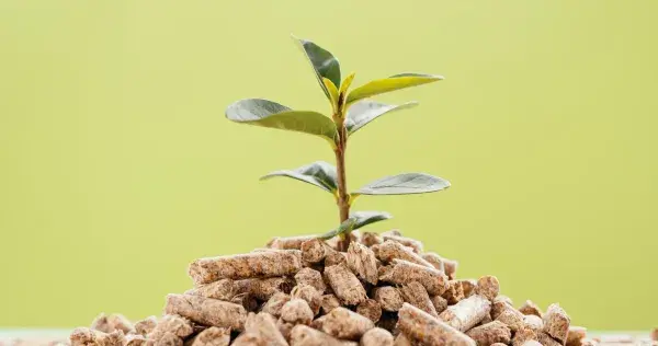 ¡Por el medio ambiente! Buscan solución para desechos en agricultura