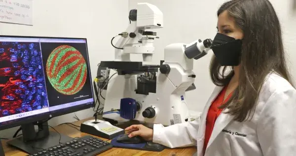Traspasa fronteras en la ciencia con bioimpresión de tejido muscular