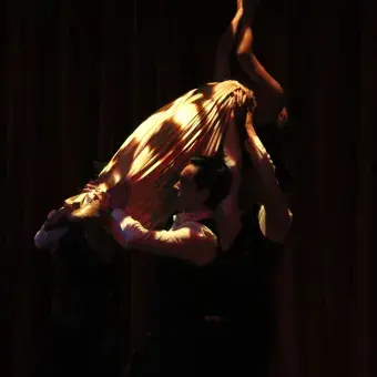 Terciopelo
