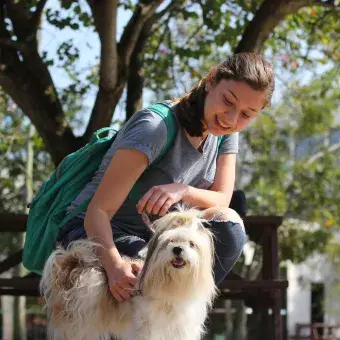 Las mascotas disfrutando del campus